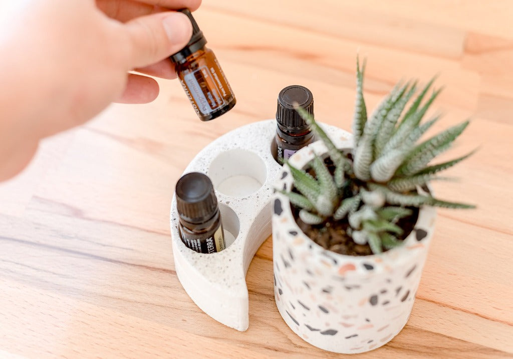 Crescent moon essential oil tray with three essential oil bottles and a succulent plant
